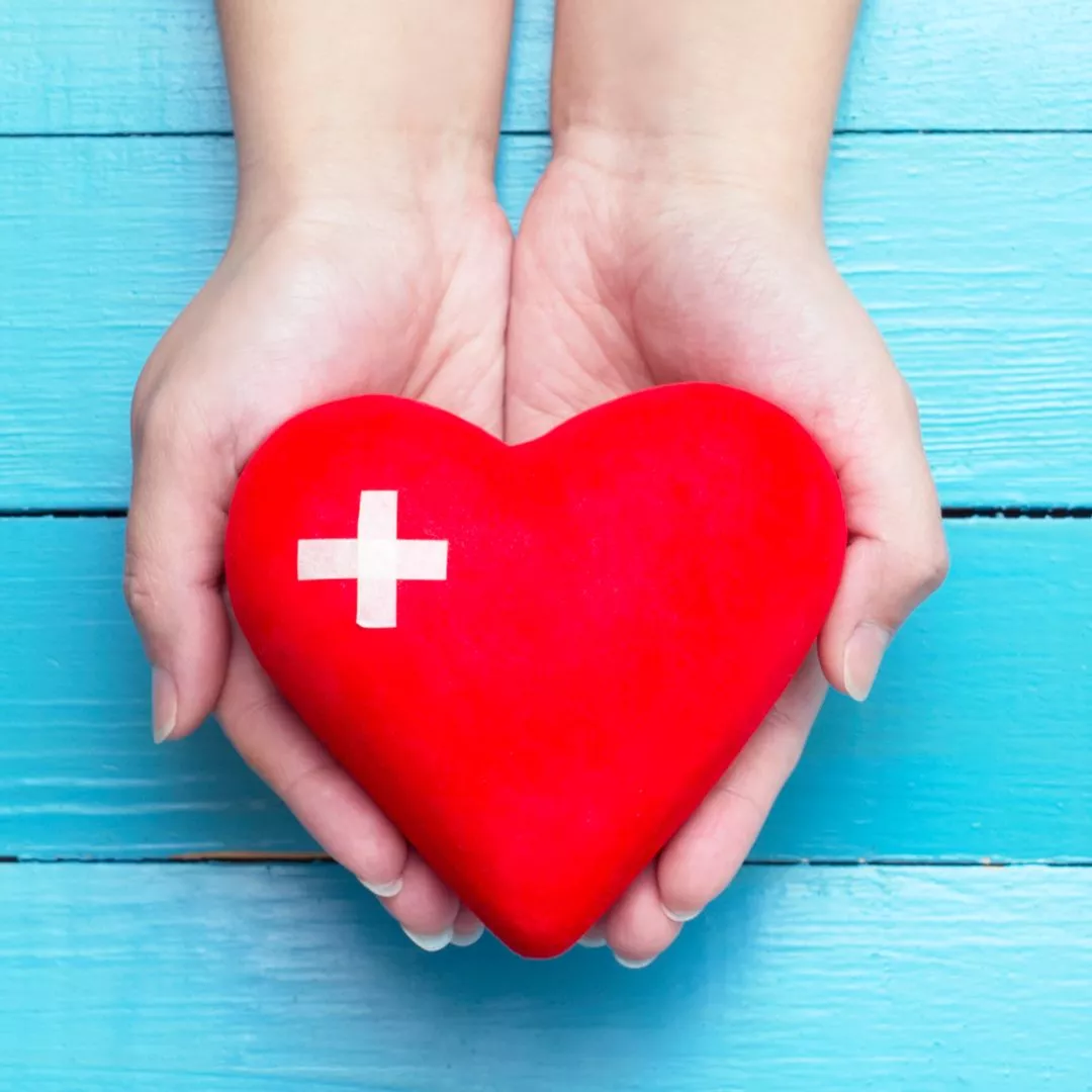 Hände die ein Herz festhalten